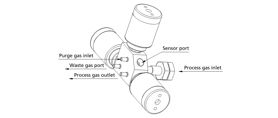 Figure 2. A Typical Port Configuration of FITOK Purge Block